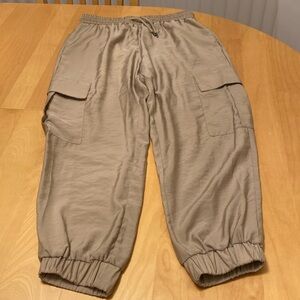 Zara New cargo Woman pants with tag